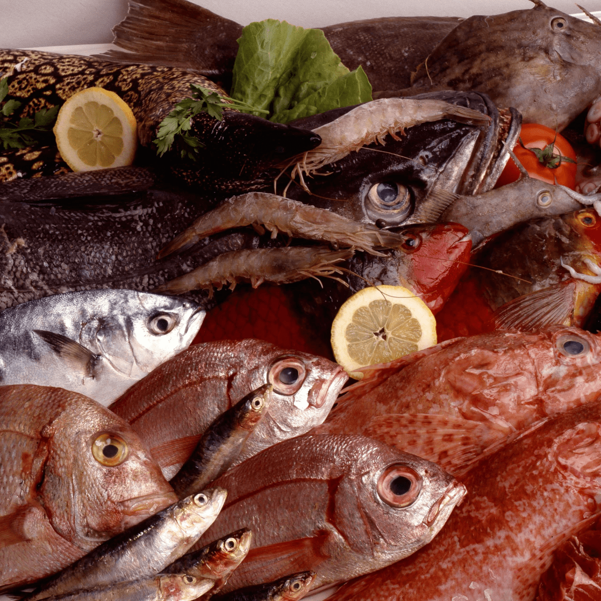 pescado-canario